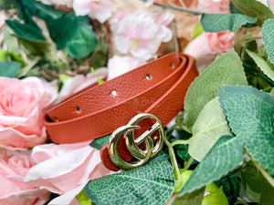 Basic skinny belt set (multicolor) Accessories Bloombellamoda 