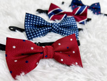 Load image into Gallery viewer, Basic Bow tie Accessories Bloombellamoda 